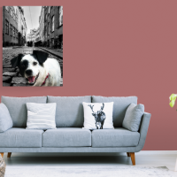 Patch in -almost- black&white