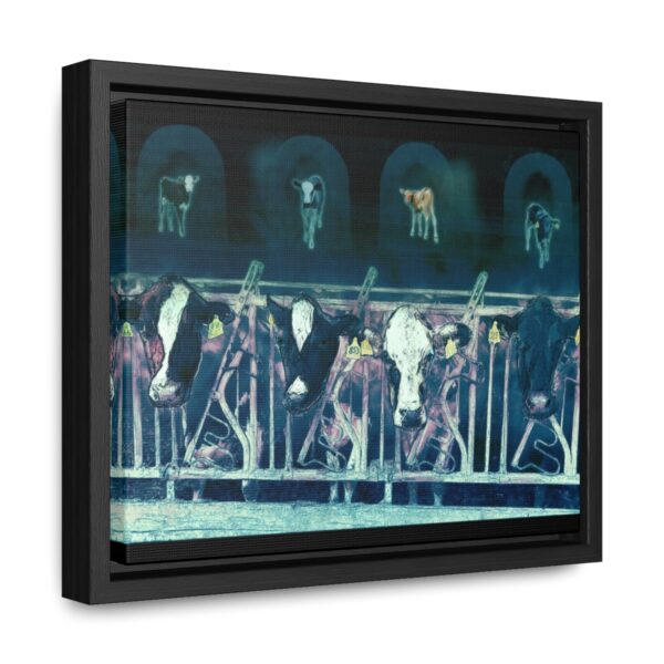 Cows missing their calves - Gallery Canvas Wrap, Horizontal Frame