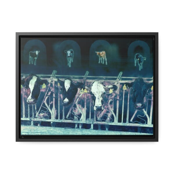Cows missing their calves - Gallery Canvas Wrap, Horizontal Frame