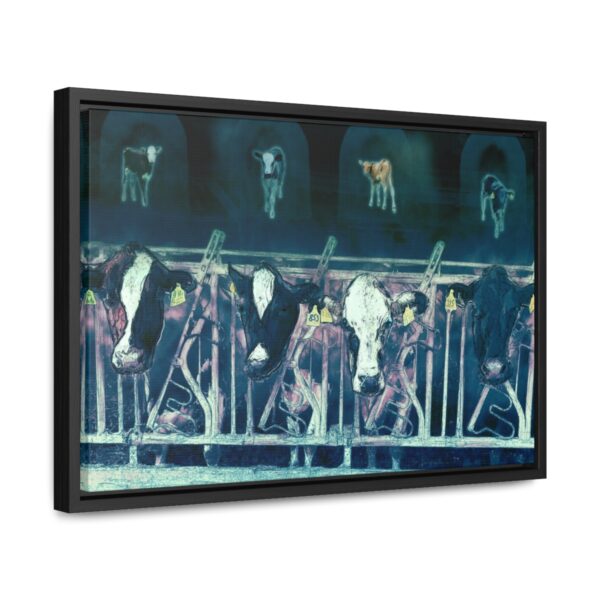 Cows missing their calves - Gallery Canvas Wrap, Horizontal Frame