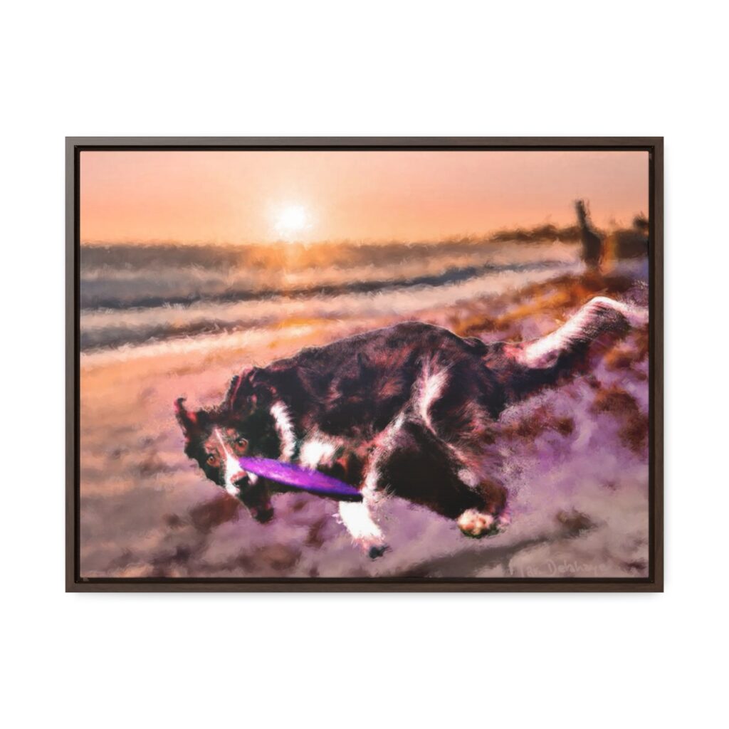 Raven having fun at the end of the day