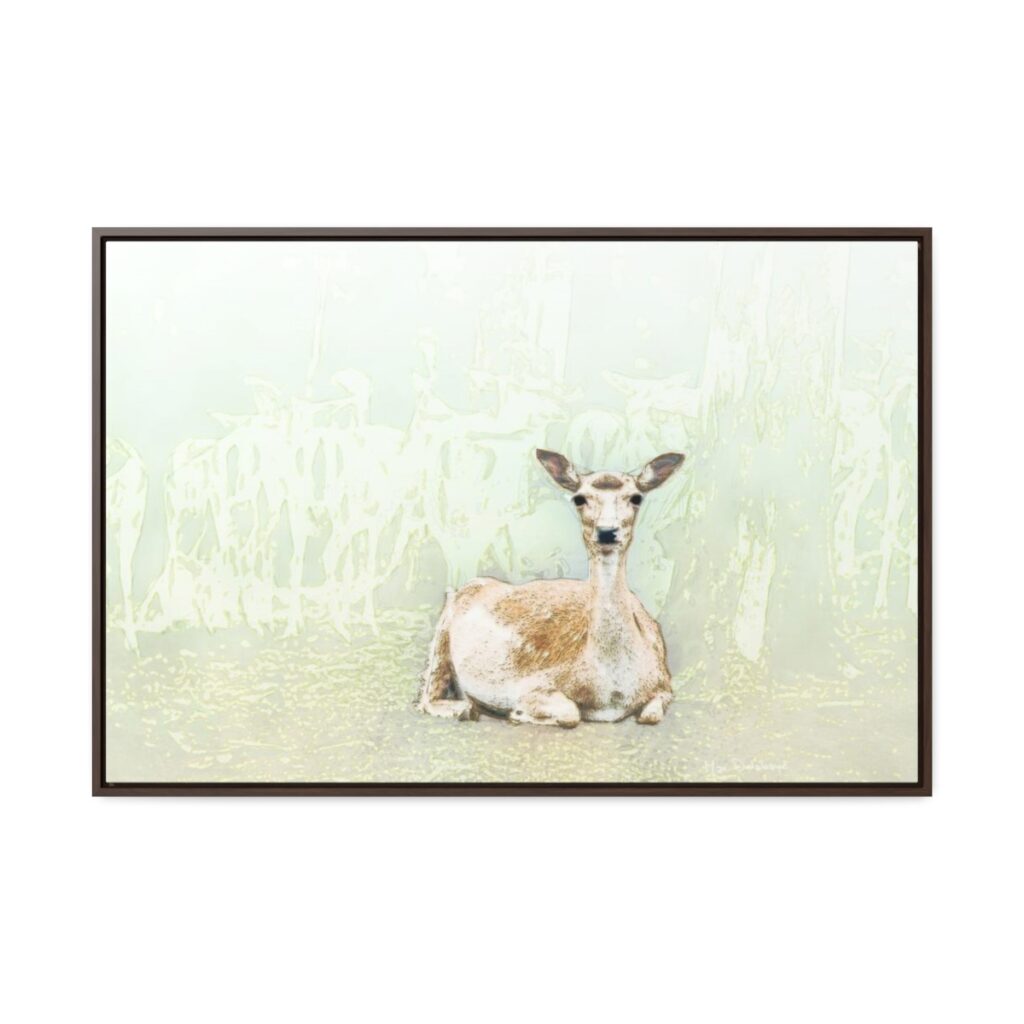 Beautiful Deer - on a Horizontal Framed Premium Gallery Wrap Canvas